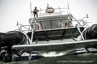 Kalpitiya Discovery Diving